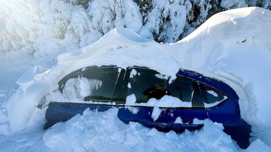 স্মরণকালের ভয়াবহ তুষারপাত যুক্তরাষ্ট্রে নিহত ৪৯ জন