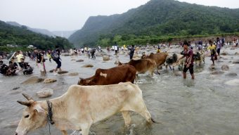 চোরাচালানের স্বর্গরাজ্য গোয়াইনঘাট ও জৈন্তা সীমান্ত : দেখার কেউ নেই !