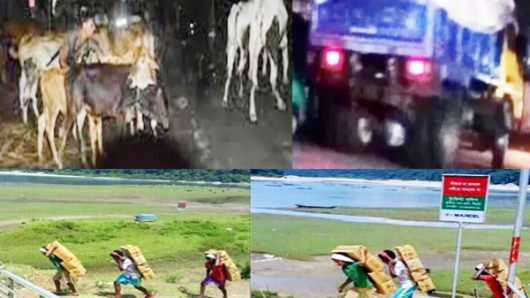 ওরা সীমান্তের গডফাদার-পুলিশ ও বিজিবির লাইনম্যান তারা !