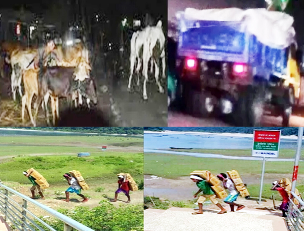 ওরা সীমান্তের গডফাদার-পুলিশ ও বিজিবির লাইনম্যান তারা !