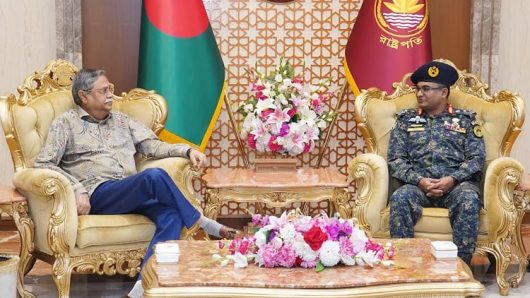 দেশের উন্নয়ন কার্যক্রমে আনসার ও ভিডিপি সদস্যদের পেশা ভিত্তিক প্রশিক্ষণ দেয়ার নির্দেশ রাষ্ট্রপতির