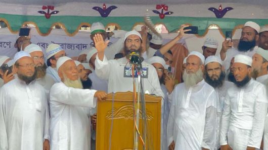 যা বললেন হেফাজন নেতা : মাও. মামুনুল হক