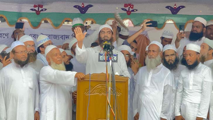 যা বললেন হেফাজন নেতা : মাও. মামুনুল হক