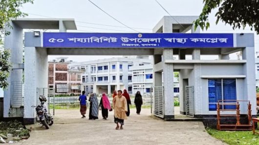 ভাইকে বাঁচাতে গিয়ে দুই ভাইয়েরই মৃ ত্যু