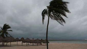 বঙ্গোপসাগরে সৃষ্ট ঘূর্ণিঝড় দানা কাল বৃহস্পতিবার সকালে প্রবল ঘূর্ণিঝড়ে রূপ নেবে