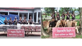 সিলেট সীমান্তে দেড় কোটি টাকার ভারতীয় পণ্য-পশু জব্দ করলো বিজিবি