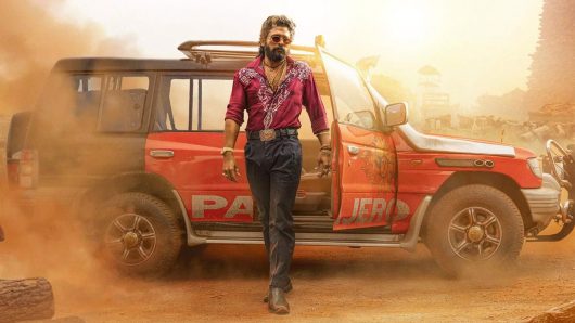 বাংলাদেশে মুক্তি পাচ্ছে না বহুল আলোচিত এই সিনেমা পুষ্পা ২