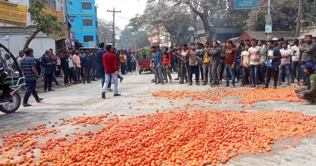 নাটোর-রাজশাহী মহাসড়কে টমেটো ফেলে সড়ক অবরোধ করেছেন কৃষকরা