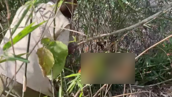 হীড বাংলাদেশের টিলা ভূমি ও লাউয়াছড়া বনে হঠাৎ অগ্নিকাণ্ডের ঘটনা