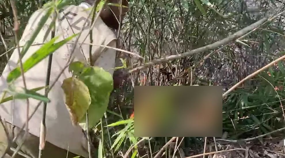 হীড বাংলাদেশের টিলা ভূমি ও লাউয়াছড়া বনে হঠাৎ অগ্নিকাণ্ডের ঘটনা