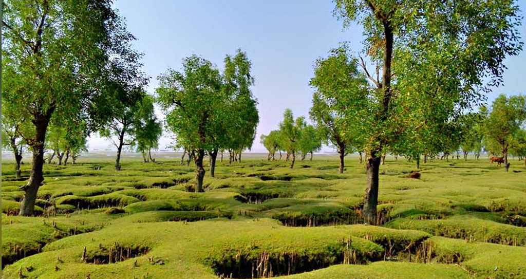 গুলিয়াখালী সমুদ্র সৈকতে ঘুরতে গিয়ে সংঘবদ্ধ ধর্ষণের শিকার
