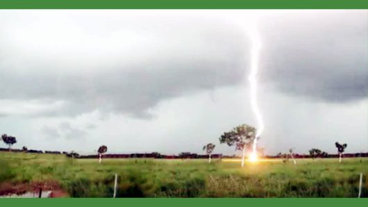 জামালগঞ্জে হাওরে বোরো ধান কাটার সময় কৃষকের মৃত্যু