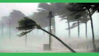 ঝড়ের সঙ্গে বজ্রসহ বৃষ্টির আভাস দিয়েছে আবহাওয়া অধিদপ্তর