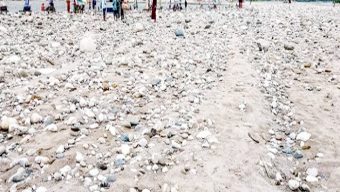 সিলেটের ভোলাগঞ্জে সাদা পাথর লুট মামলা : সাক্ষী শুধু গণমাধ্যম