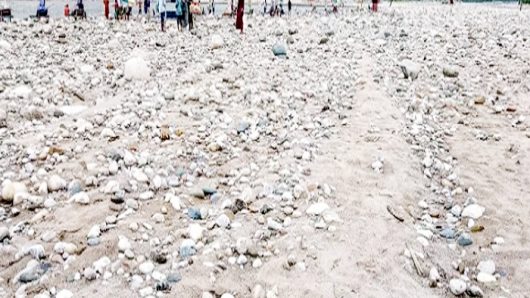 সিলেটের ভোলাগঞ্জে সাদা পাথর লুট মামলা : সাক্ষী শুধু গণমাধ্যম