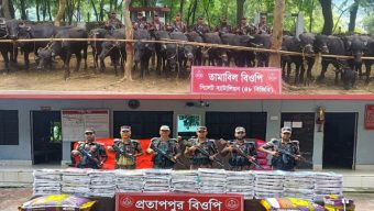 সিলেটে সীমান্তে সোয়া কোটি টাকার চোরাচালান জব্দ