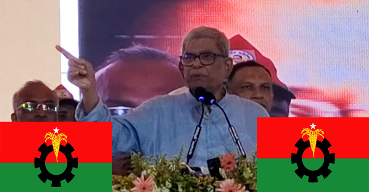 বিএনপি হলো ফিনিক্স পাখির মতো : মির্জা ফখরুল