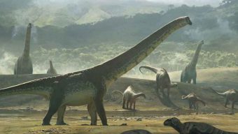 পুরোনো অ্যান্টোনিয়াডেস গার্ডেন এখন নতুন রূপে মিশরের আলেকজান্দ্রিয়া প্রদেশের