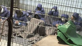 ইসরায়েলি কারাগারে আটক থাকা অবস্থায়  যৌন নির্যাতনের অভিজ্ঞতার কথা জানিয়েছেন