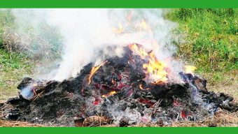 বর্জ্য পোড়ানোর ঘটনা বন্ধ করতে উদ্যোগ নিয়েছে সরকার