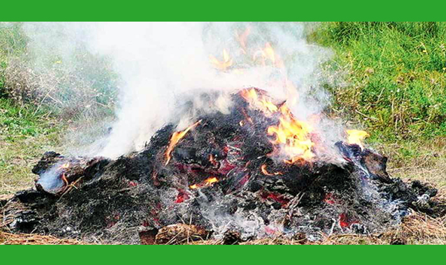 বর্জ্য পোড়ানোর ঘটনা বন্ধ করতে উদ্যোগ নিয়েছে সরকার