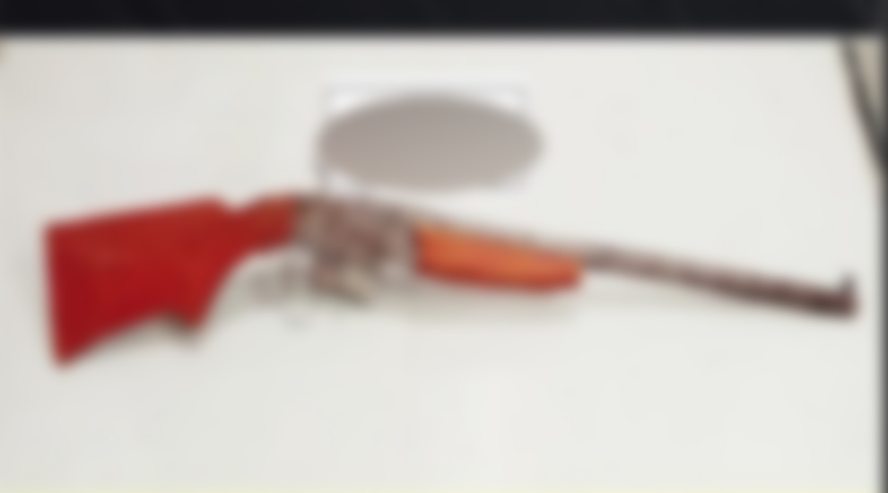 নবীনগর থেকে একটি একনালা বন্দুক উদ্ধার করেছে র‌্যাব