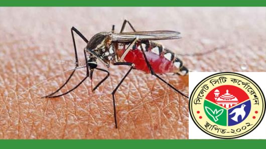  সিলেট সিটি কর্পোরেশন অভিমুখে মশা নিধনে আইওয়াশবিহীন কার্যকর পদক্ষেপ গ্রহণের দাবীতে পদযাত্রা